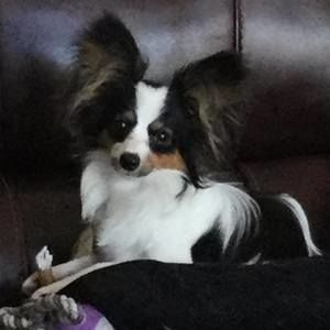 Meet your Posher, Rachelle